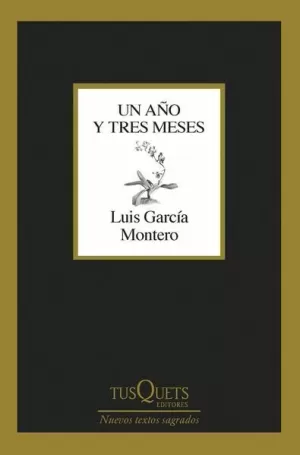 UN AÑO Y TRES MESES