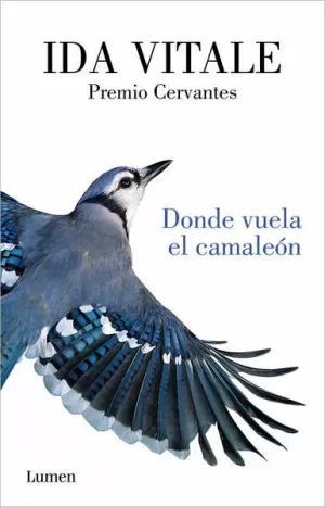 DONDE VUELA EL CAMALEÓN