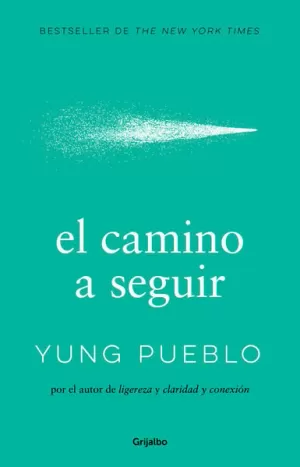 EL CAMINO A SEGUIR