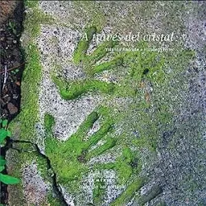 A TRAVÉS DEL CRISTAL